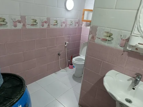 Location Appartement Studio Alger Dely brahim