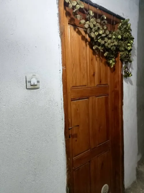Location Appartement Studio Alger Dely brahim