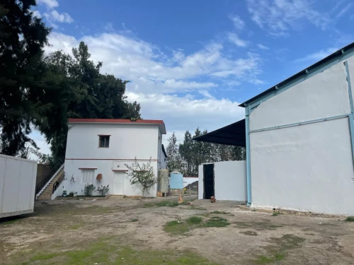 Vente Hangar - Usine Blida Ben khellil