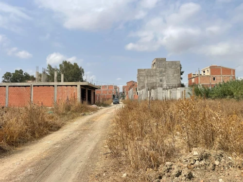 Vente Terrain Alger Tessala el merdja