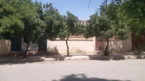 Vente Appartement F6 Tiaret Mahdia