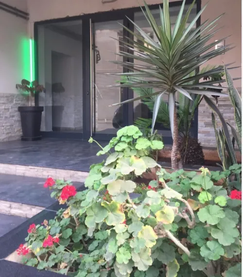 Location Appartement F3 Oran Oran