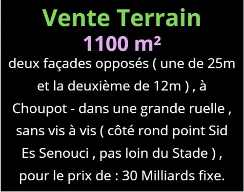 Vente Terrain Oran Oran