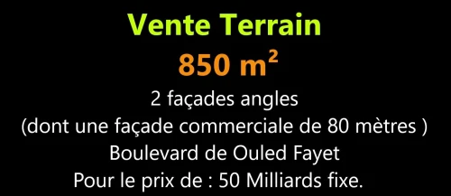Vente Terrain Alger Ouled fayet