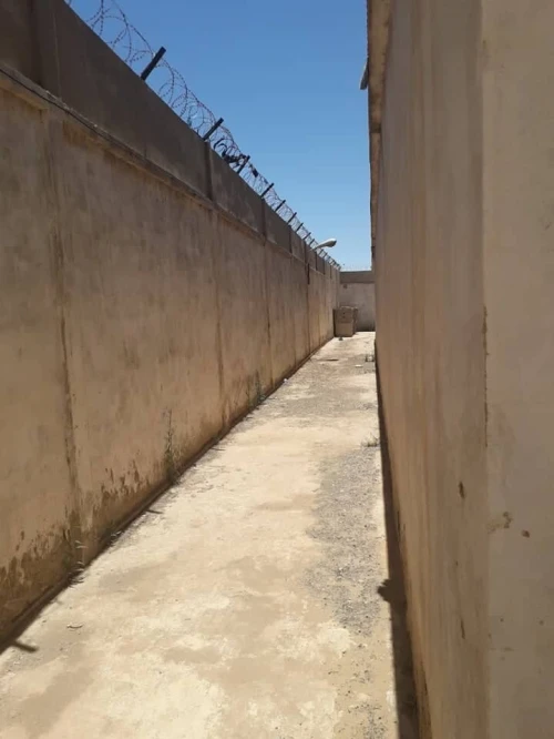 Vente Hangar - Usine Oran Misseghine