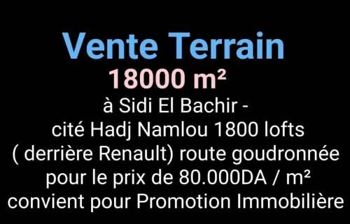 Vente Terrain Oran Bir el djir