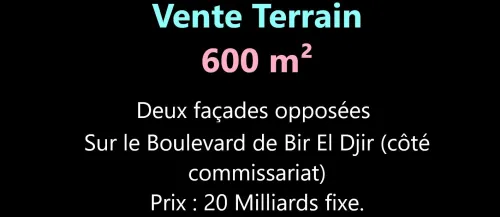 Vente Terrain Oran Bir el djir
