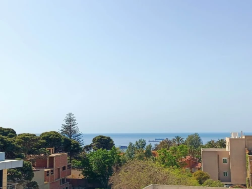 Location Appartement Penthouse F4 Oran Oran