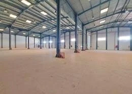 Location Hangar - Usine Oran Sidi chami