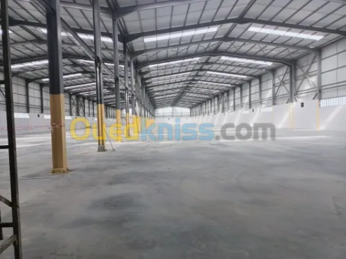 Location Hangar - Usine Oran El Kerma