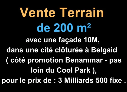 Vente Terrain Oran Bir el djir