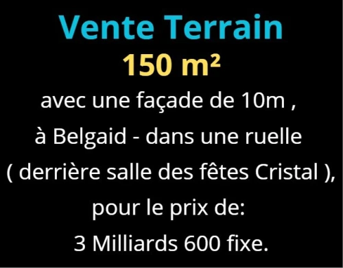 Vente Terrain Oran Bir el djir