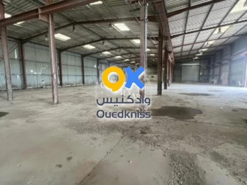 Location Hangar - Usine Oran Sidi chami