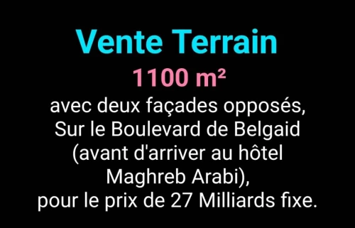 Vente Terrain Oran Bir el djir