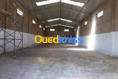Location Hangar Oran Tafraoui