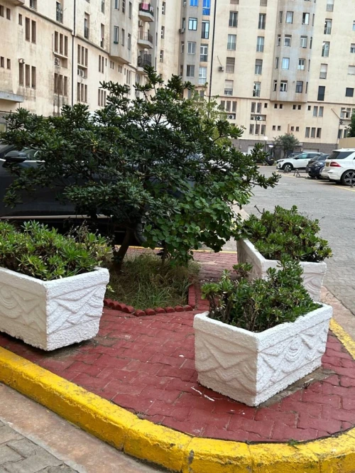 Vente Appartement F5 Oran Oran