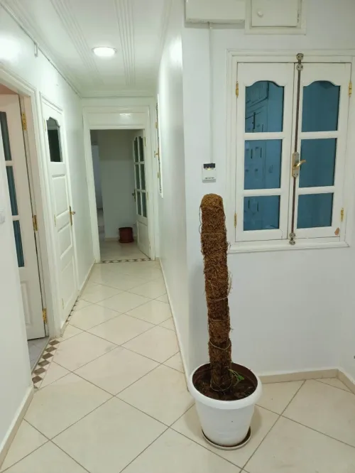 Location Appartement F3 Oran Oran