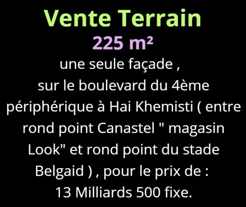 Vente Terrain Oran Bir el djir