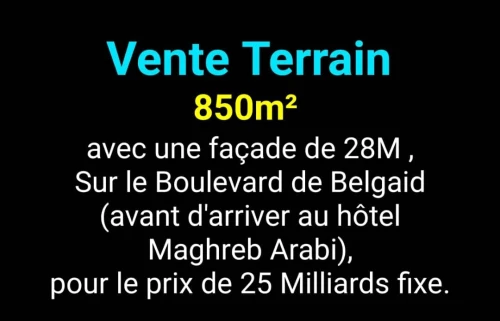 Vente Terrain Oran Bir el djir