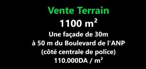Vente Terrain Oran Oran