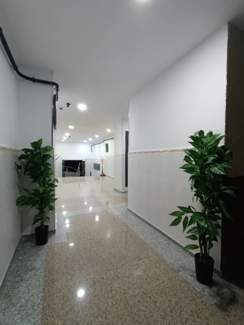 Vente Appartement F4 Oran Oran