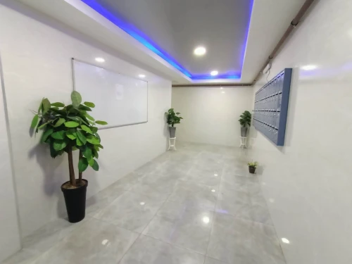 Vente Appartement F4 Oran Oran