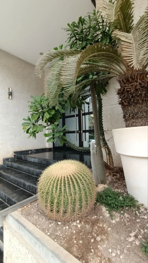 Vente Appartement F3 Oran Oran