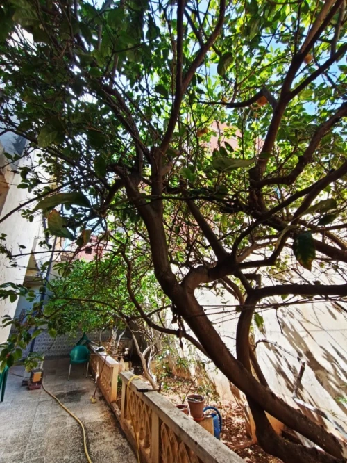 Vente Villa Oran Ain el turck