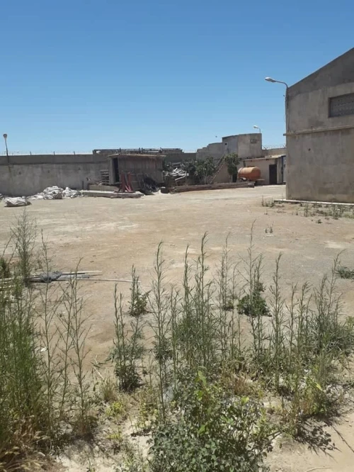 Vente Hangar - Usine Oran Misseghine