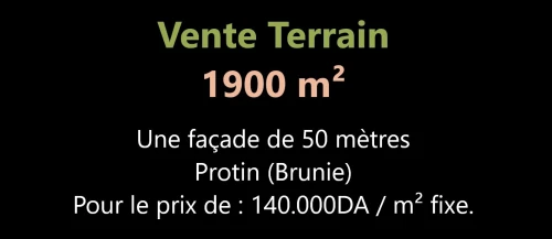 Vente Terrain Oran Oran