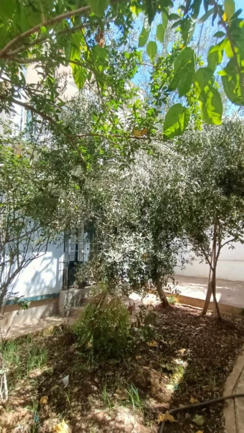 Location Appartement Niveau de villa F4 Oran Oran