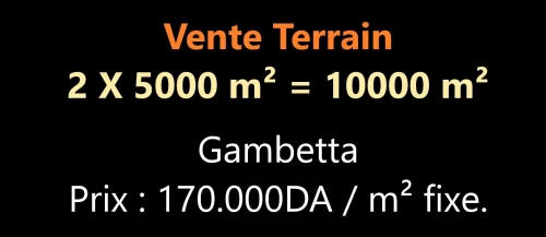 Vente Terrain Oran Oran