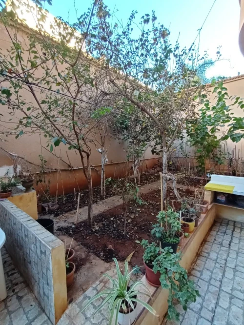 Vente Villa Oran Bir el djir