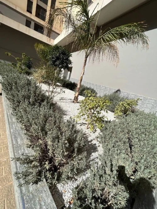 Location Appartement F4 Oran Oran