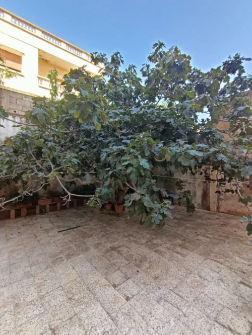 Vente Villa Oran Oran
