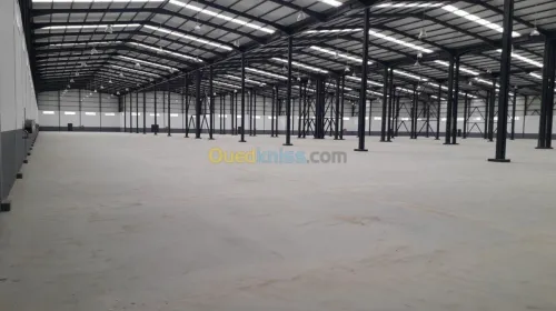 Location Hangar Oran Oued tlelat