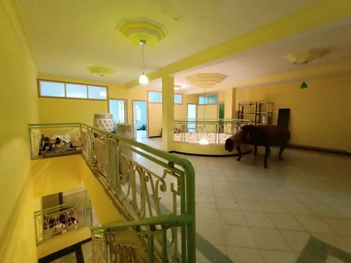 Location Appartement F12 Oran Bir el djir