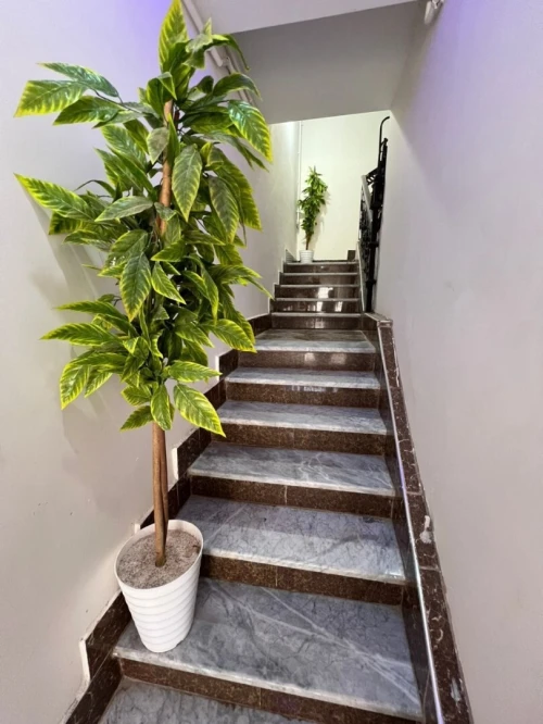 Location Appartement Niveau de villa F4 Oran Bir el djir