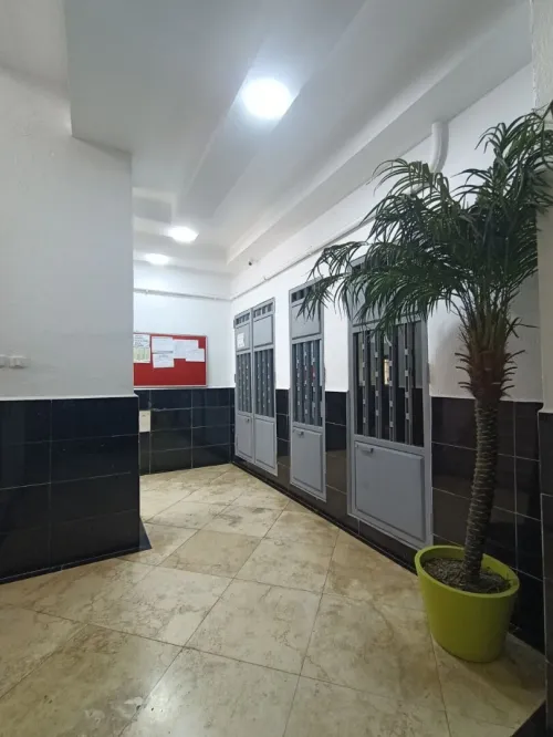 Location Appartement F3 Oran Bir el djir