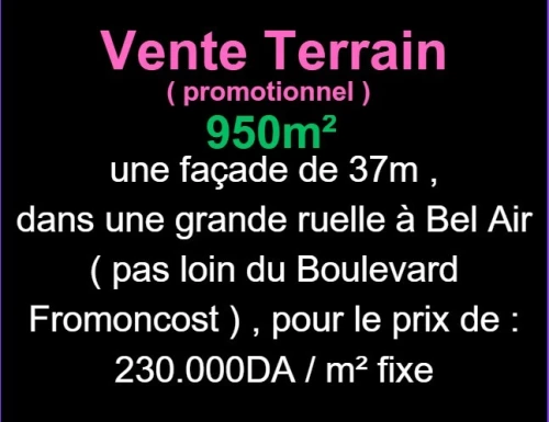 Vente Terrain Oran Oran