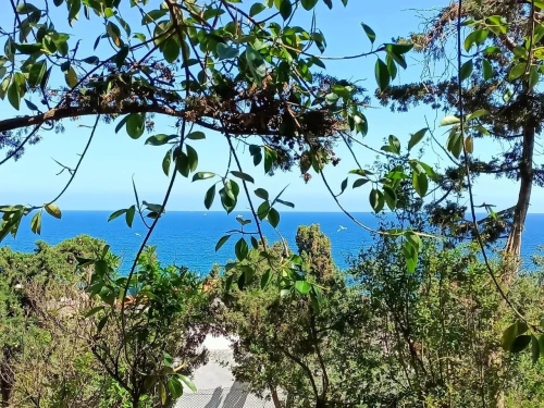 Location Villa Oran Ain el turck