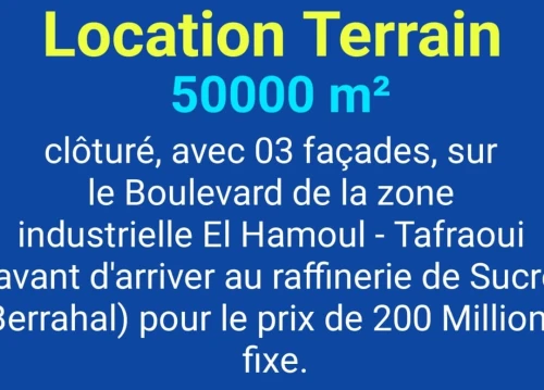 Location Terrain Oran Tafraoui