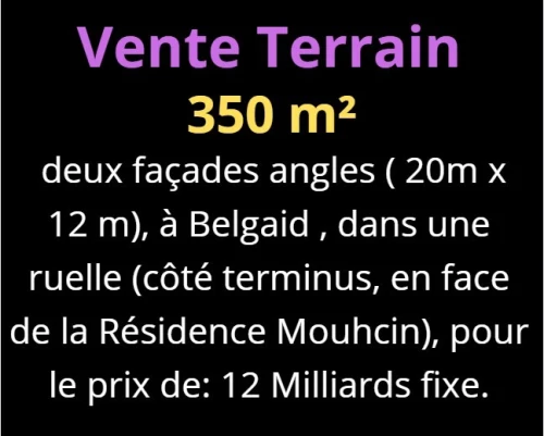 Vente Terrain Oran Bir el djir