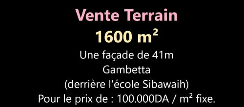 Vente Terrain Oran Oran