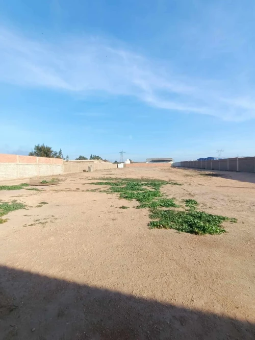 Location Terrain Oran Bethioua