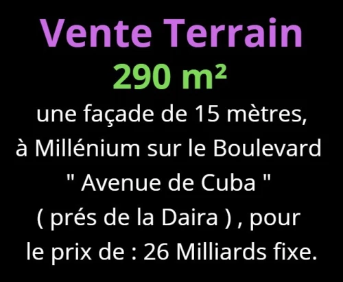 Vente Terrain Oran Bir el djir