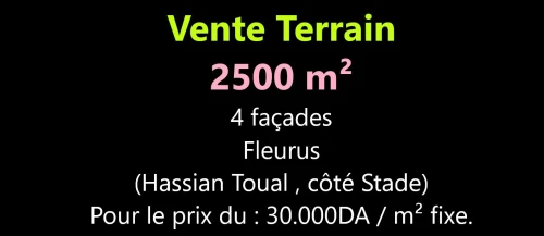 Vente Terrain Oran Hassian toual