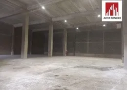 Location Hangar Oran Sidi maarouf