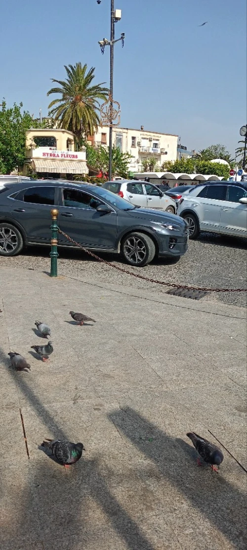 Vente Villa Alger Hydra