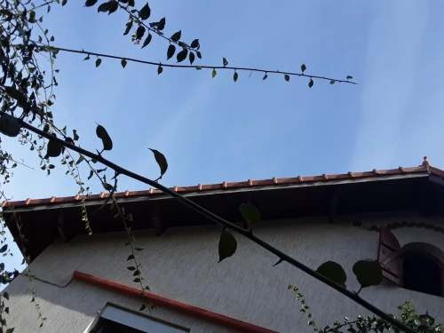étanchéité charpentier blida ®